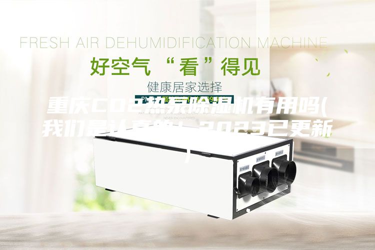 重慶CO2熱泵除濕機有用嗎(我們是認真的！2023已更新)