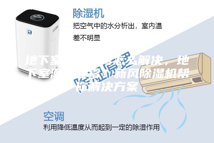 地下室潮濕發霉怎么解決，地下室潮濕發霉？新風除濕機幫你解決方案