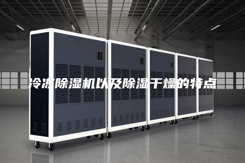冷凍除濕機以及除濕干燥的特點