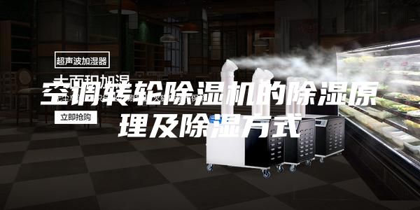 空調(diào)轉(zhuǎn)輪除濕機(jī)的除濕原理及除濕方式