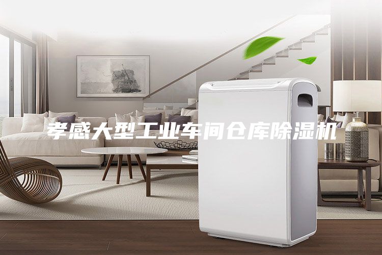 孝感大型工業(yè)車間倉(cāng)庫(kù)除濕機(jī)