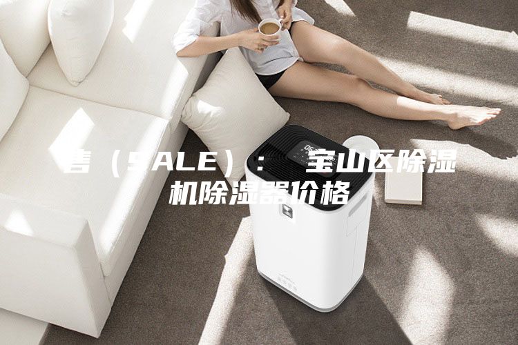 售(SALE): 寶山區(qū)除濕機(jī)除濕器價(jià)格