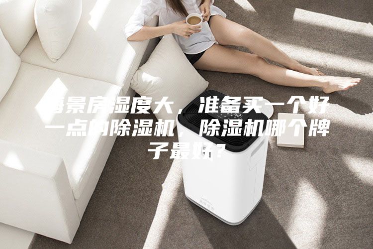 海景房濕度大，準(zhǔn)備買一個好一點的除濕機，除濕機哪個牌子最好？
