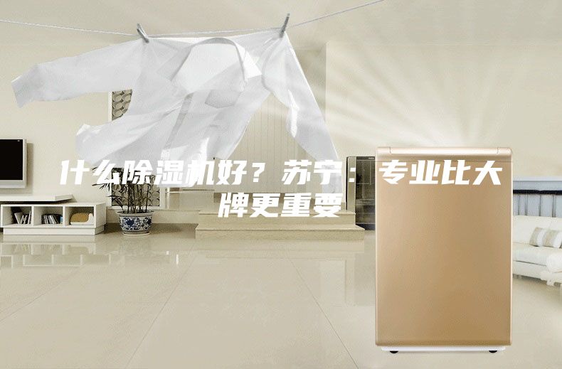 什么除濕機好？蘇寧：專業比大牌更重要