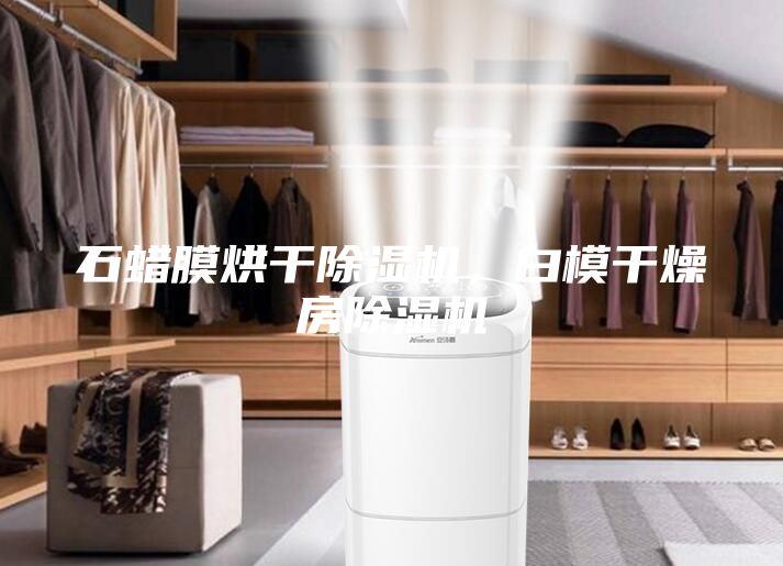 石蠟膜烘干除濕機，白模干燥房除濕機