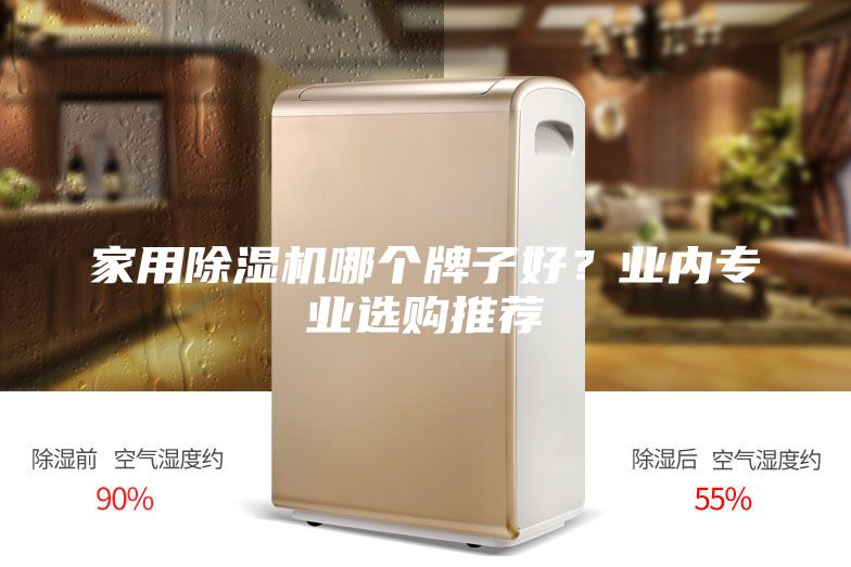家用除濕機(jī)哪個(gè)牌子好？業(yè)內(nèi)專業(yè)選購(gòu)?fù)扑]