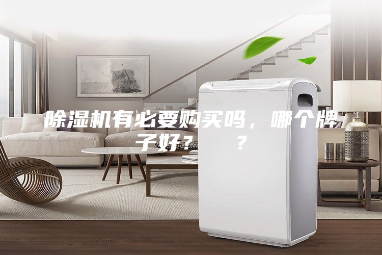 除濕機(jī)有必要購買嗎，哪個(gè)牌子好？  ？