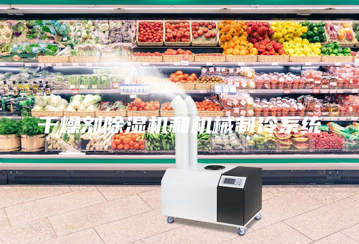 干燥劑除濕機(jī)和機(jī)械制冷系統(tǒng)