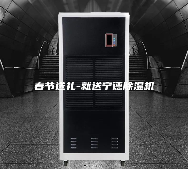 春節送禮-就送寧德除濕機