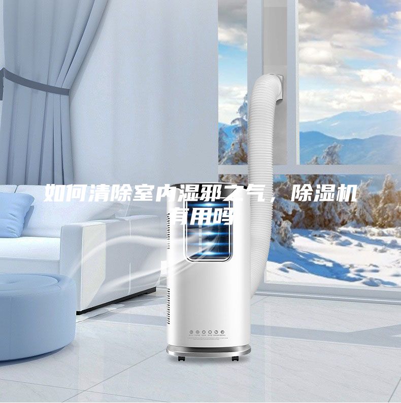 如何清除室內濕邪之氣,除濕機有用嗎