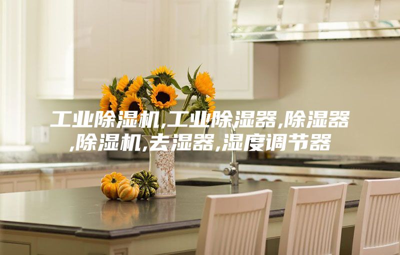 工業(yè)除濕機(jī),工業(yè)除濕器,除濕器,除濕機(jī),去濕器,濕度調(diào)節(jié)器