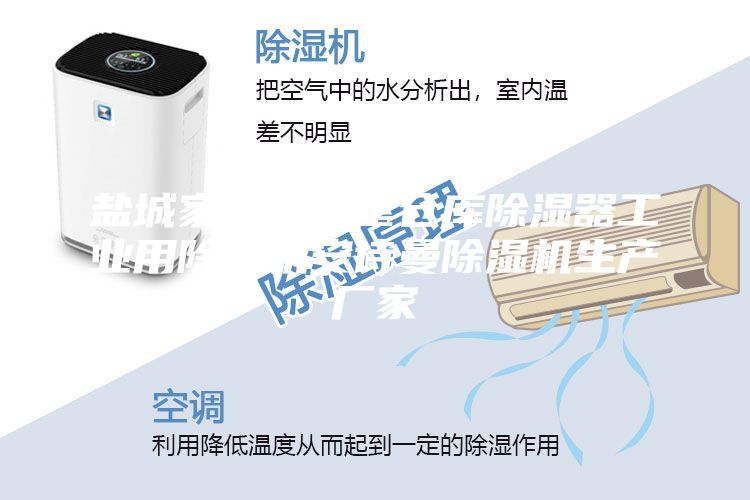 鹽城家用地下室倉庫除濕器工業(yè)用除濕機(jī)安詩曼除濕機(jī)生產(chǎn)廠家