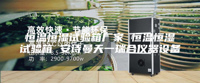 恒溫恒濕試驗箱廠家 恒溫恒濕試驗箱 安詩曼天一瑞合儀器設(shè)備