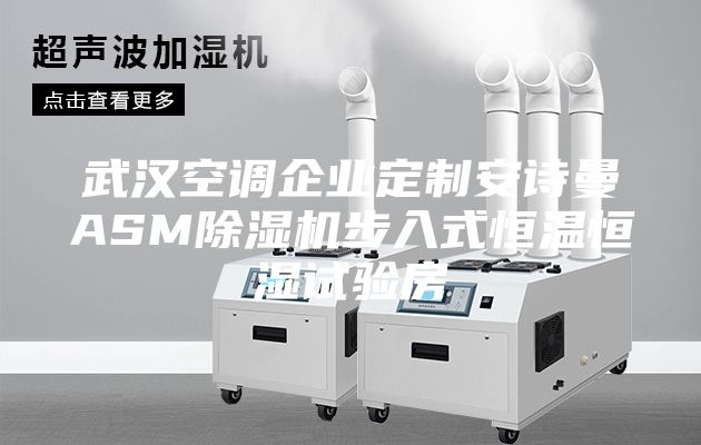 武漢空調(diào)企業(yè)定制安詩(shī)曼ASM除濕機(jī)步入式恒溫恒濕試驗(yàn)房