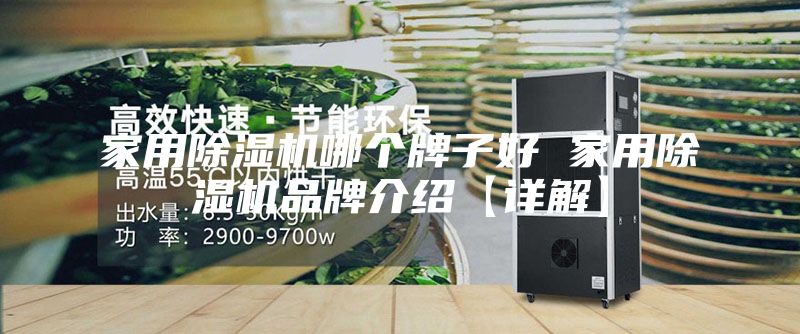 家用除濕機(jī)哪個牌子好 家用除濕機(jī)品牌介紹【詳解】