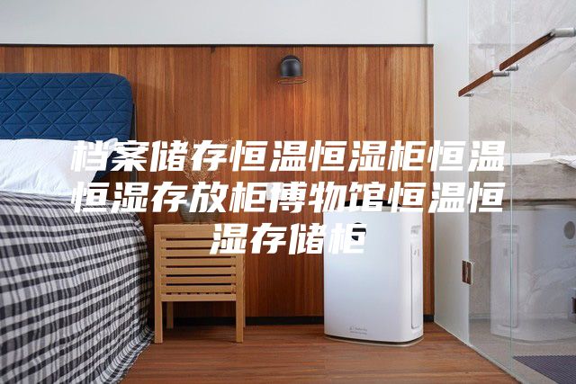 檔案儲(chǔ)存恒溫恒濕柜恒溫恒濕存放柜博物館恒溫恒濕存儲(chǔ)柜