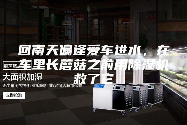 回南天偏逢愛車進(jìn)水，在車?yán)镩L蘑菇之前用除濕機(jī)救了它