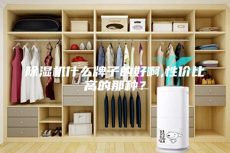 除濕機什么牌子的好啊,性價比高的那種？