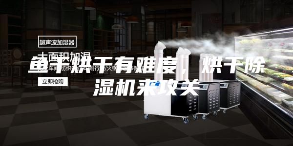 魚干烘干有難度，烘干除濕機(jī)來攻關(guān)