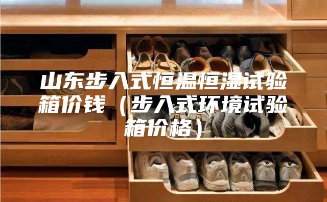 山東步入式恒溫恒濕試驗箱價錢（步入式環境試驗箱價格）