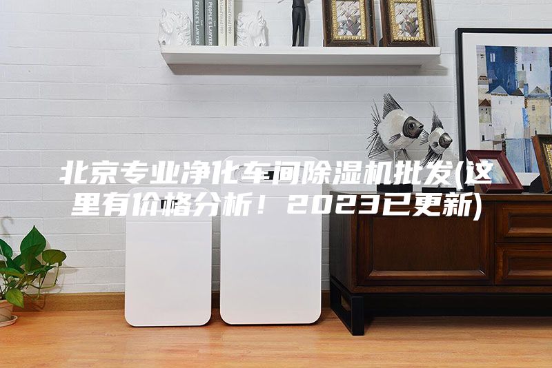 北京專業(yè)凈化車間除濕機(jī)批發(fā)(這里有價格分析！2023已更新)