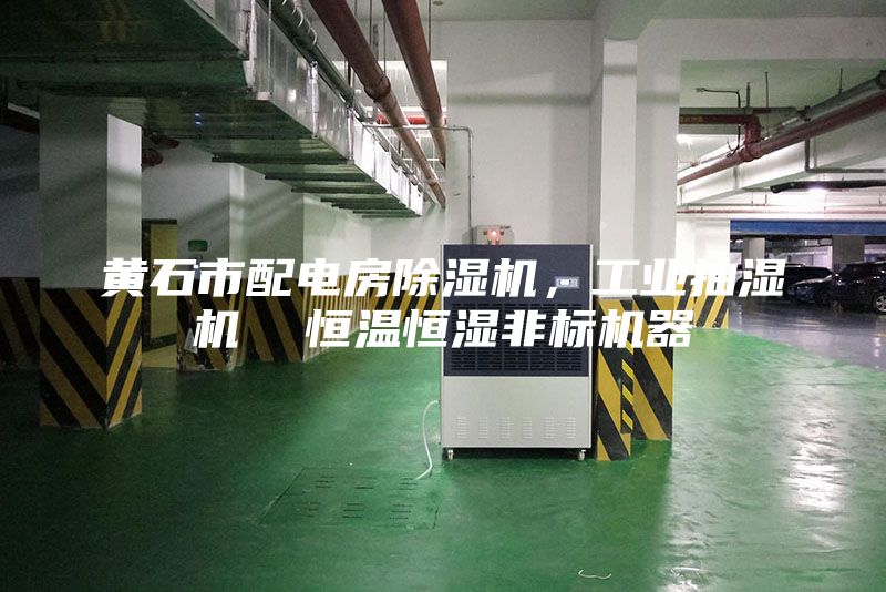 黃石市配電房除濕機，工業(yè)抽濕機  恒溫恒濕非標機器