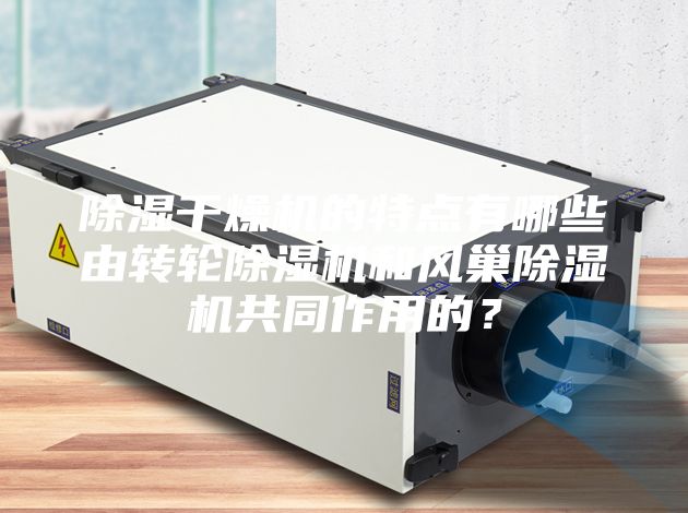 除濕干燥機的特點有哪些由轉(zhuǎn)輪除濕機和風(fēng)巢除濕機共同作用的？