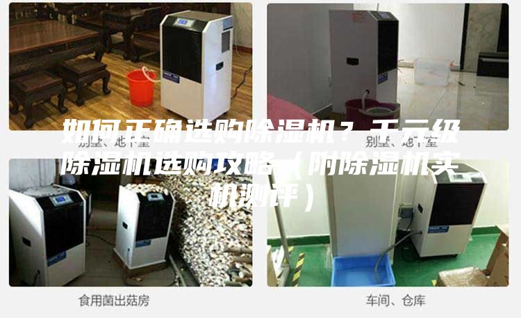 如何正確選購除濕機？千元級除濕機選購攻略（附除濕機實機測評）