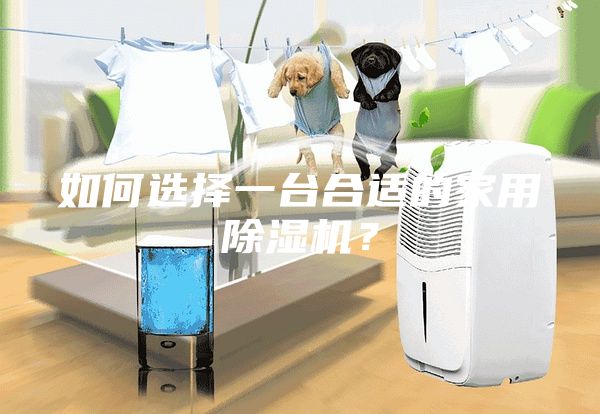 如何選擇一臺合適的家用除濕機？