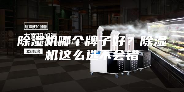 除濕機哪個牌子好？除濕機這么選不會錯