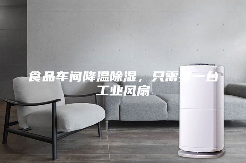 食品車間降溫除濕，只需要一臺工業(yè)風(fēng)扇