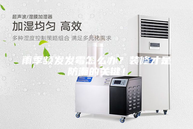 雨季頻發發霉怎么辦？裝修才是防潮的關鍵！