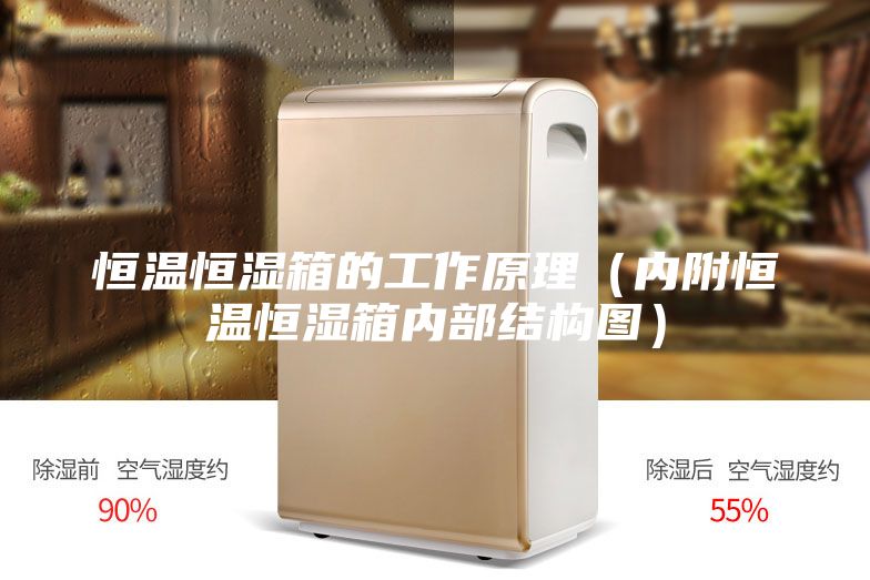 恒溫恒濕箱的工作原理(內附恒溫恒濕箱內部結構圖)