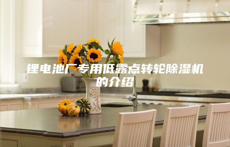 鋰電池廠專用低露點轉輪除濕機的介紹