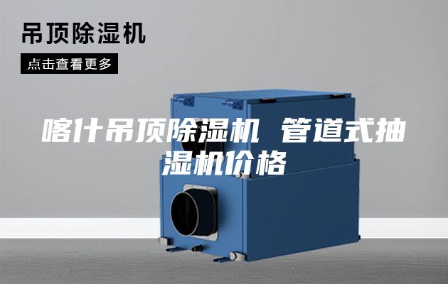 喀什吊頂除濕機 管道式抽濕機價格