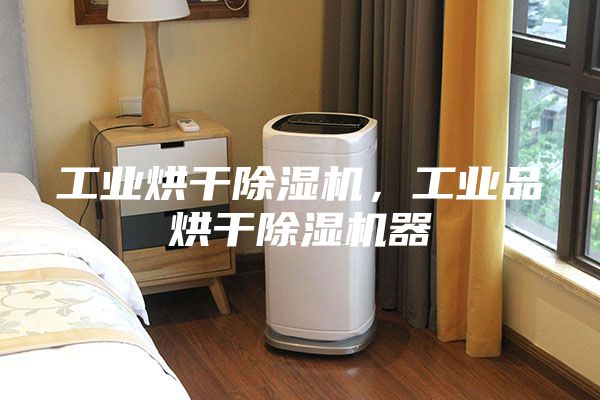 工業烘干除濕機,工業品烘干除濕機器