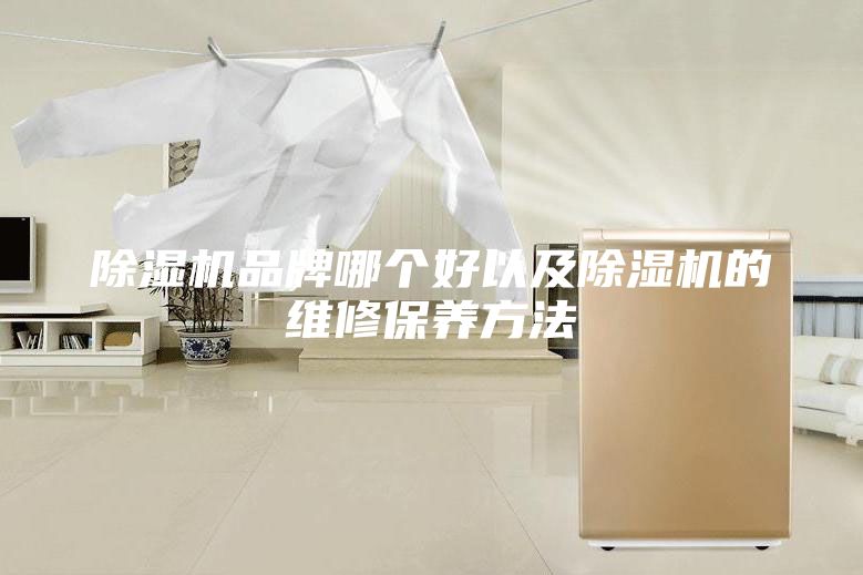 除濕機品牌哪個好以及除濕機的維修保養方法