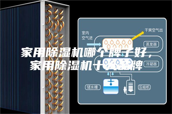 家用除濕機哪個牌子好，家用除濕機十大品牌