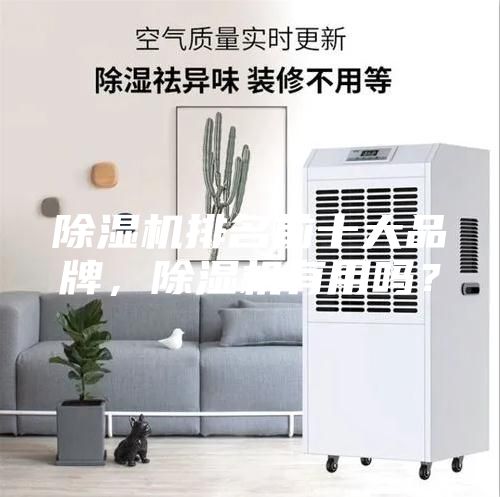 除濕機排名前十大品牌，除濕機有用嗎？