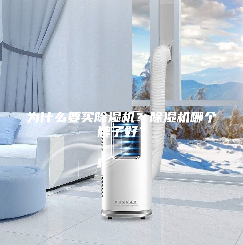 為什么要買(mǎi)除濕機(jī)？除濕機(jī)哪個(gè)牌子好？
