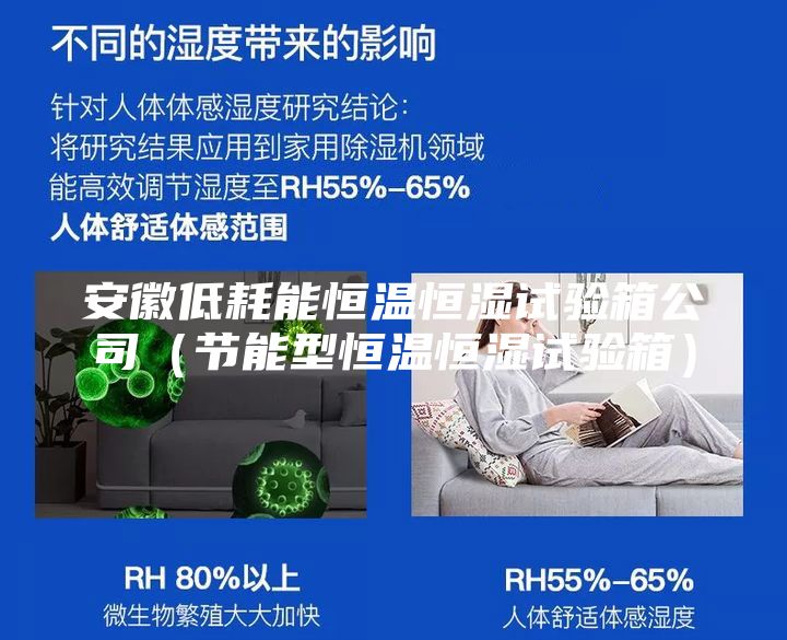 安徽低耗能恒溫恒濕試驗箱公司（節能型恒溫恒濕試驗箱）