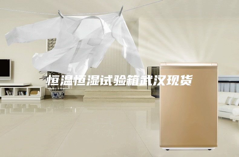 恒溫恒濕試驗(yàn)箱武漢現(xiàn)貨