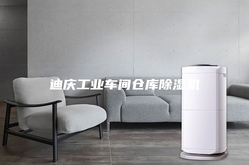 迪慶工業(yè)車間倉(cāng)庫(kù)除濕機(jī)