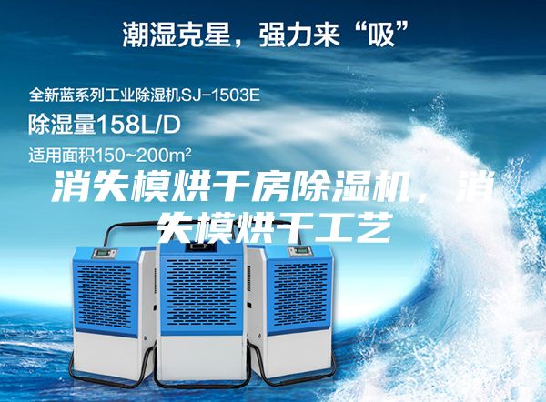 消失模烘干房除濕機(jī)，消失模烘干工藝