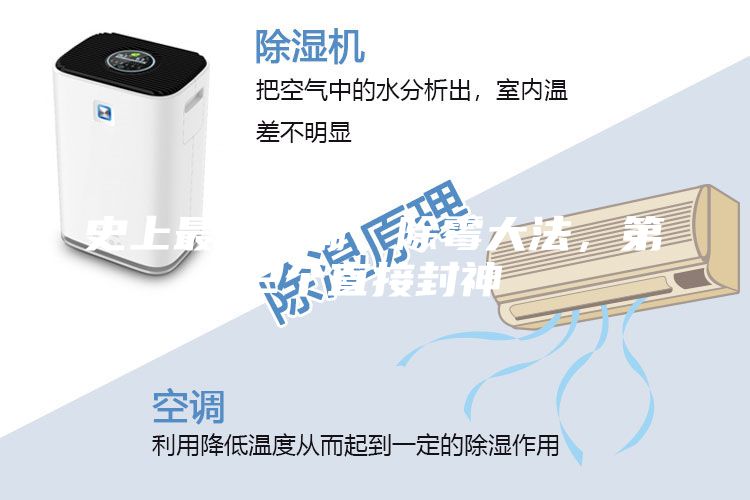 史上最全防潮、除霉大法,第2個直接封神