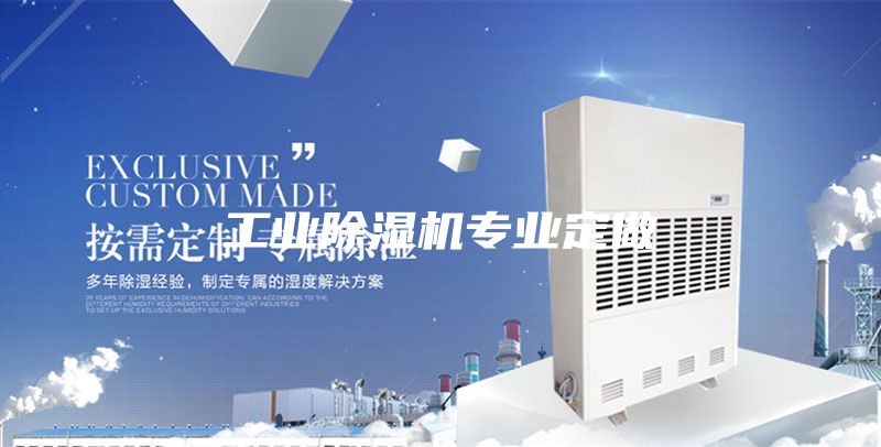工業(yè)除濕機(jī)專業(yè)定做