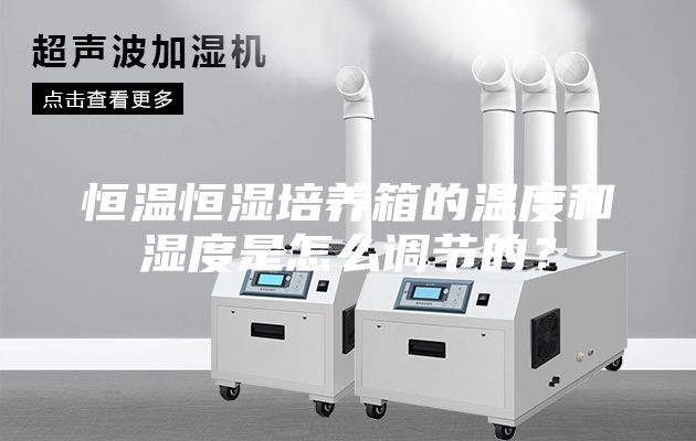 恒溫恒濕培養(yǎng)箱的溫度和濕度是怎么調(diào)節(jié)的?