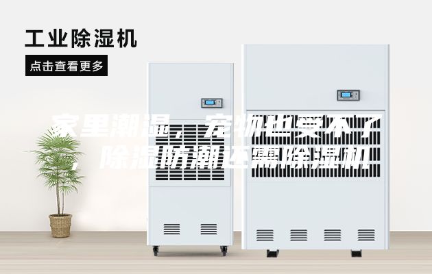 家里潮濕，寵物也受不了，除濕防潮還需除濕機(jī)