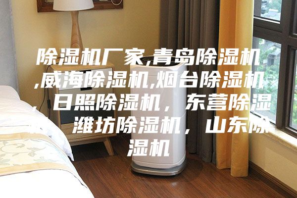 除濕機廠家,青島除濕機,威海除濕機,煙臺除濕機,日照除濕機,東營除濕機,濰坊除濕機,山東除濕機
