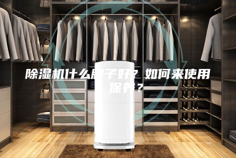 除濕機(jī)什么牌子好?如何來(lái)使用、保養(yǎng)?